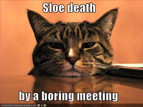 http://tokyocherie.files.wordpress.com/2009/02/funny-pictures-cat-sleeps-boring-meeting1.jpg